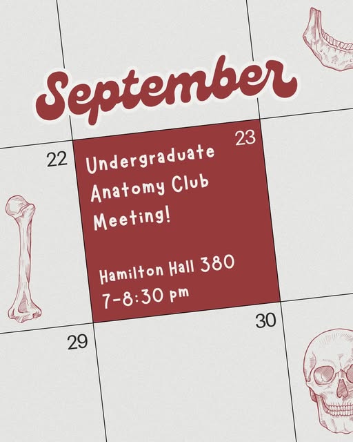 Undergraduate Anatomy Club Meeting! event flyer from @anatomyosu
