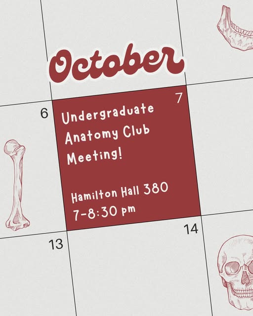 Undergraduate Anatomy Club Meeting! — Instagram source 1, image 2, posted by @anatomyosu