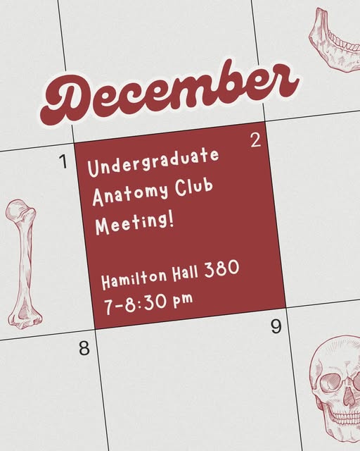 Undergraduate Anatomy Club Meeting! — Instagram source 1, image 4, posted by @anatomyosu