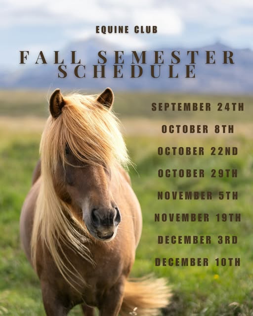 Equine Club Meeting event flyer from @osuequineclub