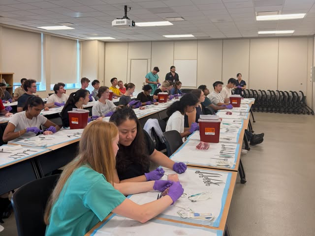 Suture Workshop with Dr. Farhadi — Instagram source 1, image 3, posted by @osuprsig